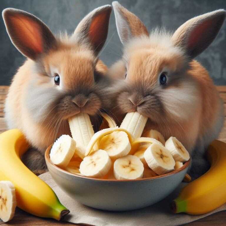 two cute bunies eating a plate of bananas