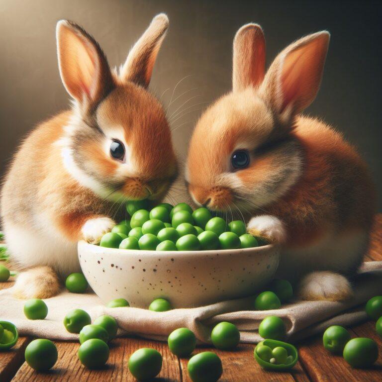 two rabbits eating a bowl of fresh peas