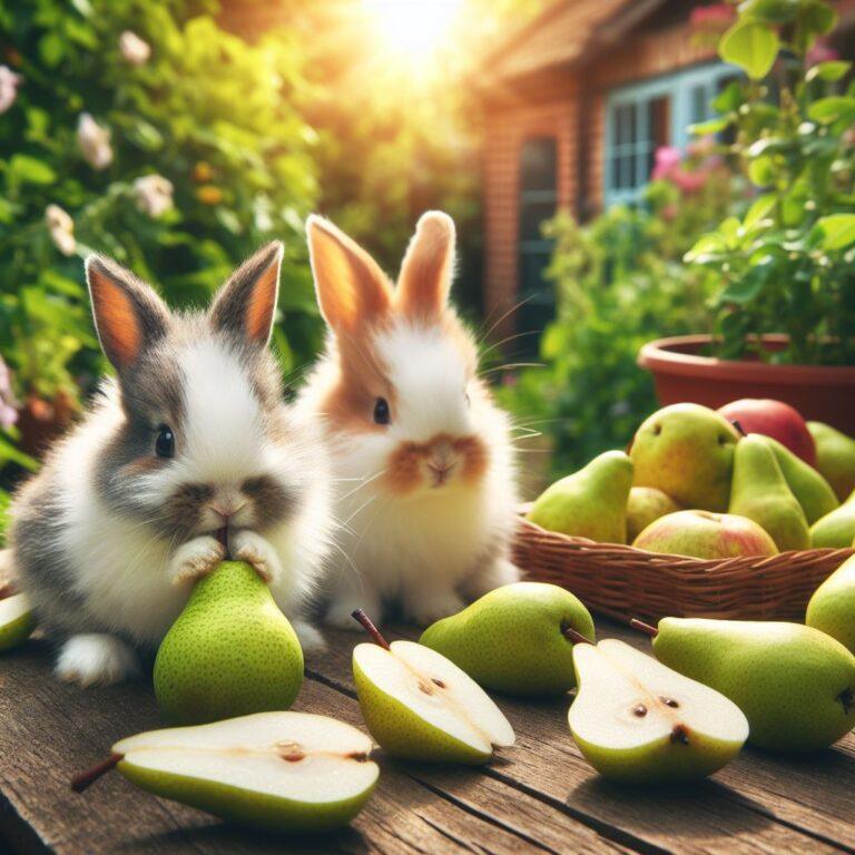 two rabbits eating some peqr slices in a garden on a beautiful day