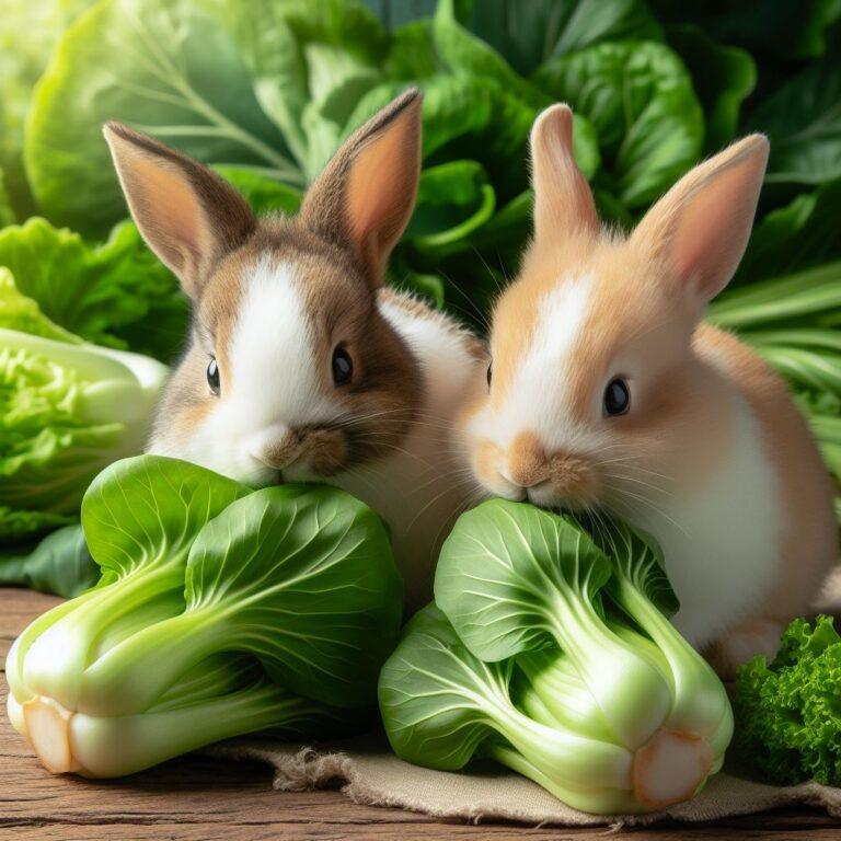 a couple of rabbits munching on some fresh bok choi