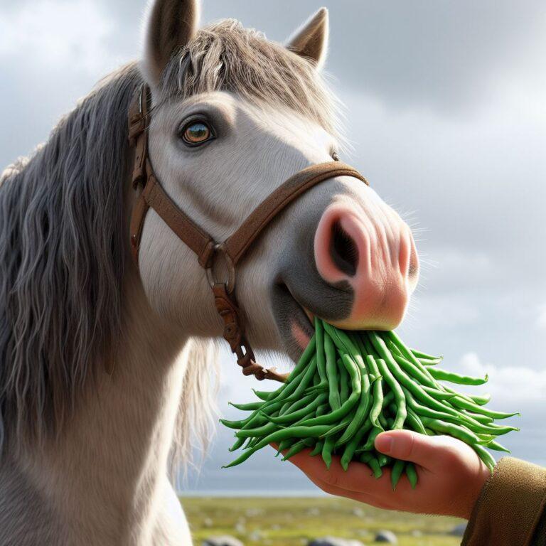 a horse being fed some fresh green beans